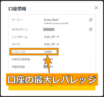 口座情報、レバレッジ