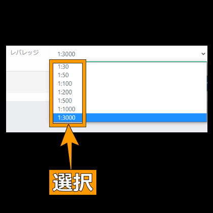 TTCM口座開設「レバレッジ選択」