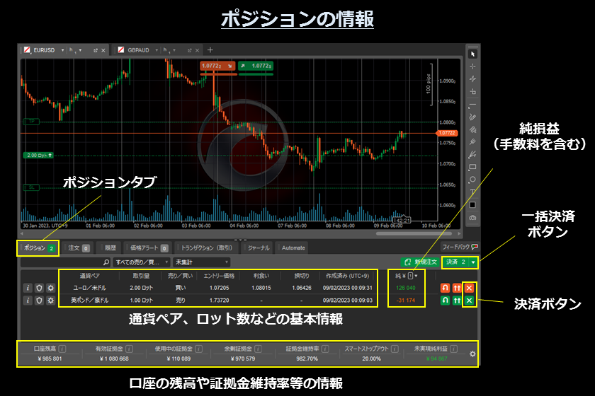 画像⑮　AXIORYのcTrader「ポジションの情報」