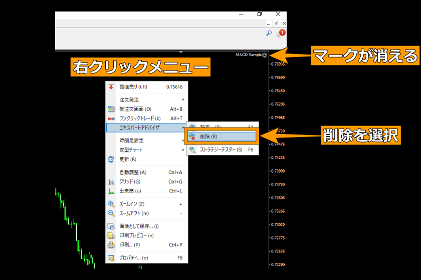 画像156：MT4使い方「自動売買ソフトの削除」