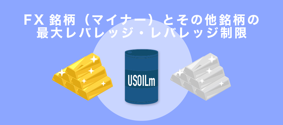 FX銘柄（マイナー）とその他銘柄のダイナミックレバレッジ